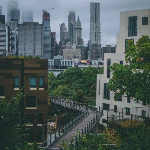The Effects of COVID-19: How the Environment and Economy Intersect